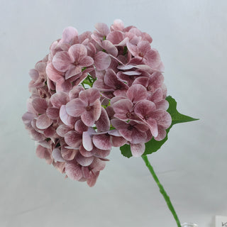 Hydrangea Stem - Purple