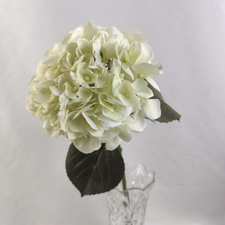 Hydrangea Stem - White