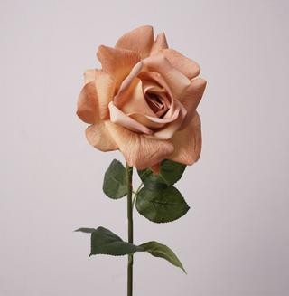 Rose Stem - Austin Brown