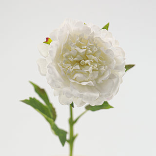 Peony Stem - White
