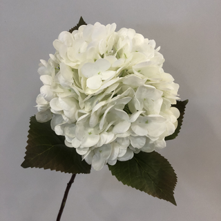 Athens Hydrangea Stem - White