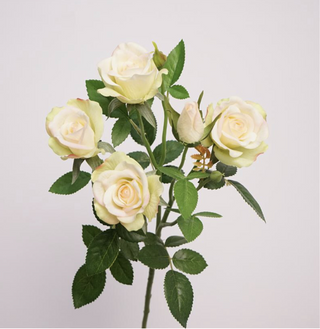 Rose Stem - Bubble White