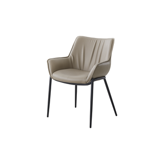 Raymond Dining Chair