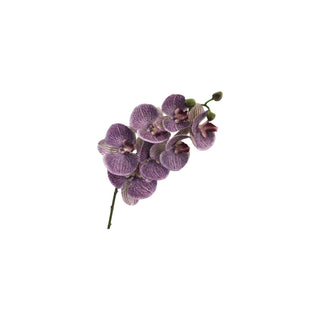 Orchid Stem - Multiple Color Options