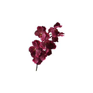Orchid Stem - Multiple Color Options