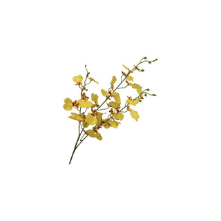 Orchid Stem - Multiple Color Options