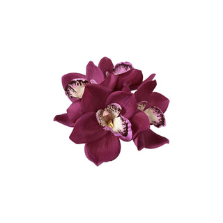 Cymbidium Orchid Stem - Multiple colour options