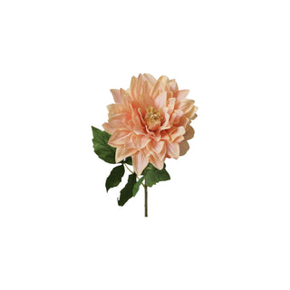 Dahlia Stem - Pink