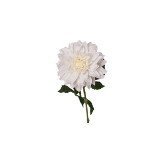 Dahlia Stem - Cream