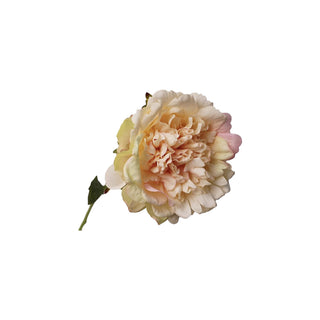 Peony Stem - Blush
