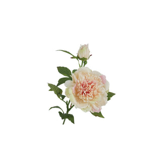 Peony Stem - Multiple Color Options