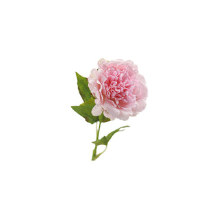 Peony Stem - Multiple Color Options