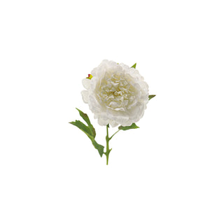 Peony Stem - White
