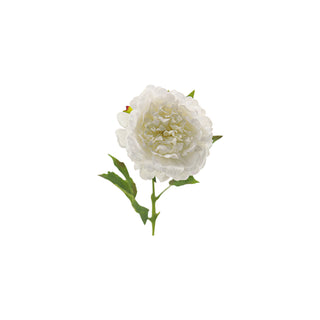 Peony Stem - Multiple Color Options