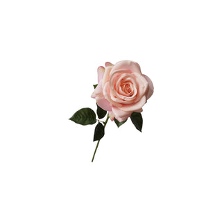 Rose Stem - Multiple Color Options