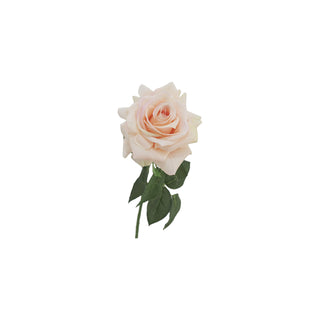 Rose Stem - Multiple Colour Options