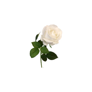 Rose Stem - Multiple Colour Options