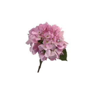 Ocean Hydrangea Stem - Pink