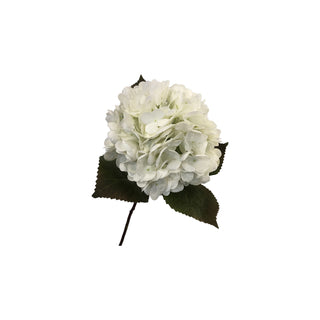 Athens Hydrangea Stem - White