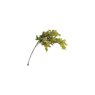 Fruit Stem - Green
