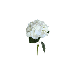 Edge Hydrangea Stem - White