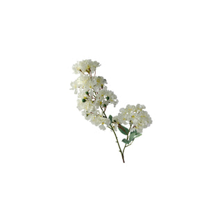 Crape Myrtle Stem - White