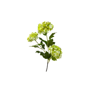 Woody Hydrangea Stem - Light Green