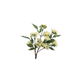 Lilac Stem - Off White