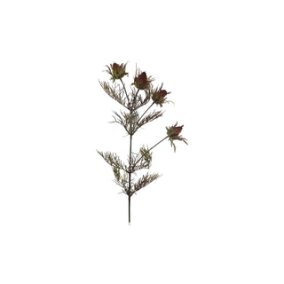 Wild Thorn Stem - Dark Red