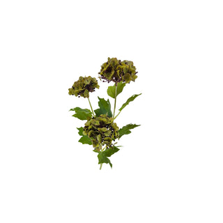 Hydrangea Stem - Multiple Color Options