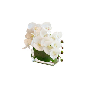 Orchid Flower Arrangement - White