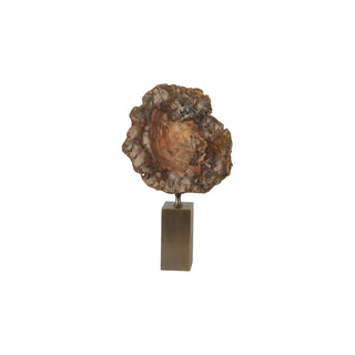 Petrified Wood Decorative Arts