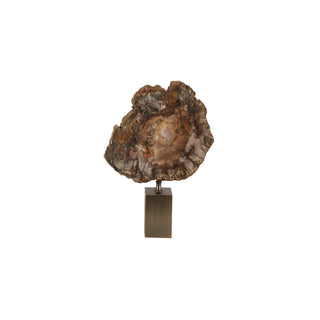 Petrified Wood  Decorative Arts - Small