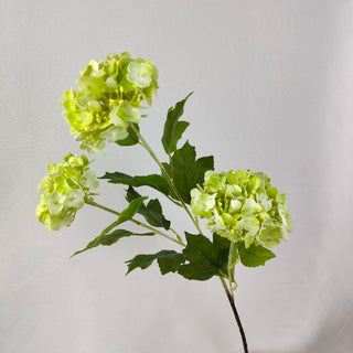 Woody Hydrangea Stem - Light Green