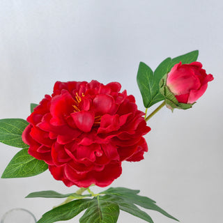 Peony Stem - Red