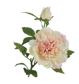 Peony Stem - Peach Pink
