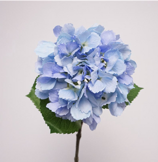 Ocean Hydrangea Stem - Blue