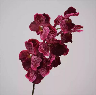 Orchid Stem - Pink