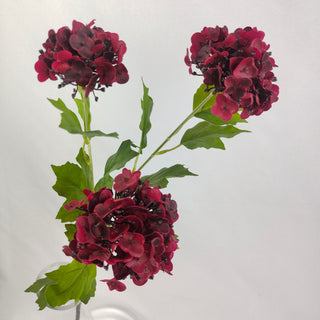 Woody Hydrangea Stem - Dark Red