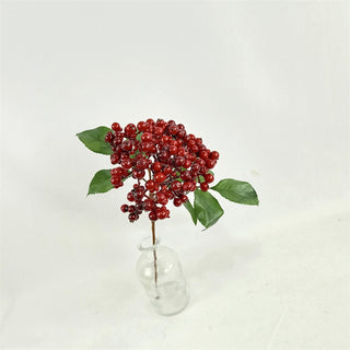 Fruit Stem - Red