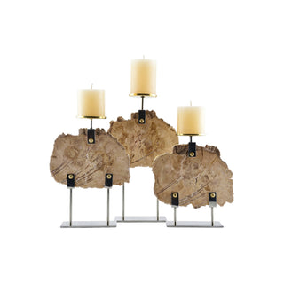 Petrified Wood Candle Stand - Medium
