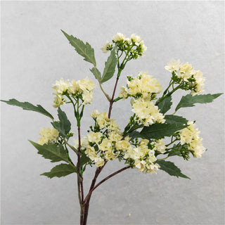 Lilac Stem - Off White