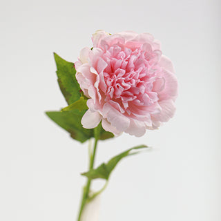 Peony Stem - Pink