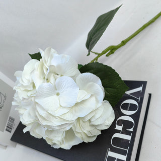 Edge Hydrangea Stem - White