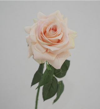 Rose Stem - Peach Pink