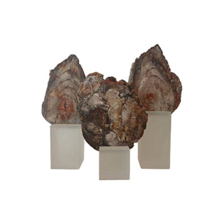 Petrified Wood Sculpture