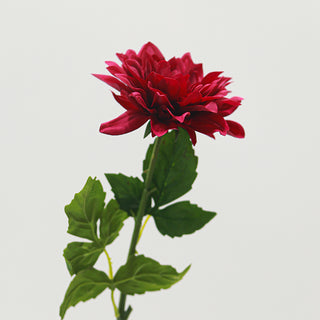 Dahlia Stem - Red