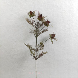 Wild Thorn Stem - Dark Red