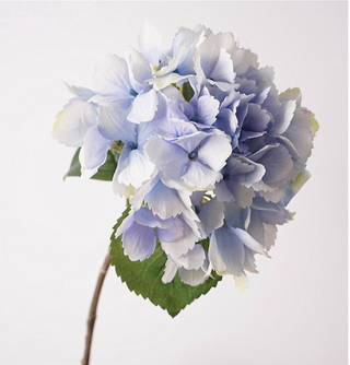 Ocean Hydrangea Stem - Sky Blue