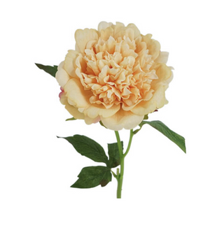 Peony Stem - Orange